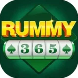 Rummy 365 app icon
